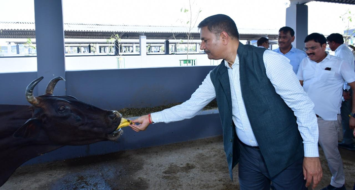 YEIDA CEO inspects Faleda Gaushala